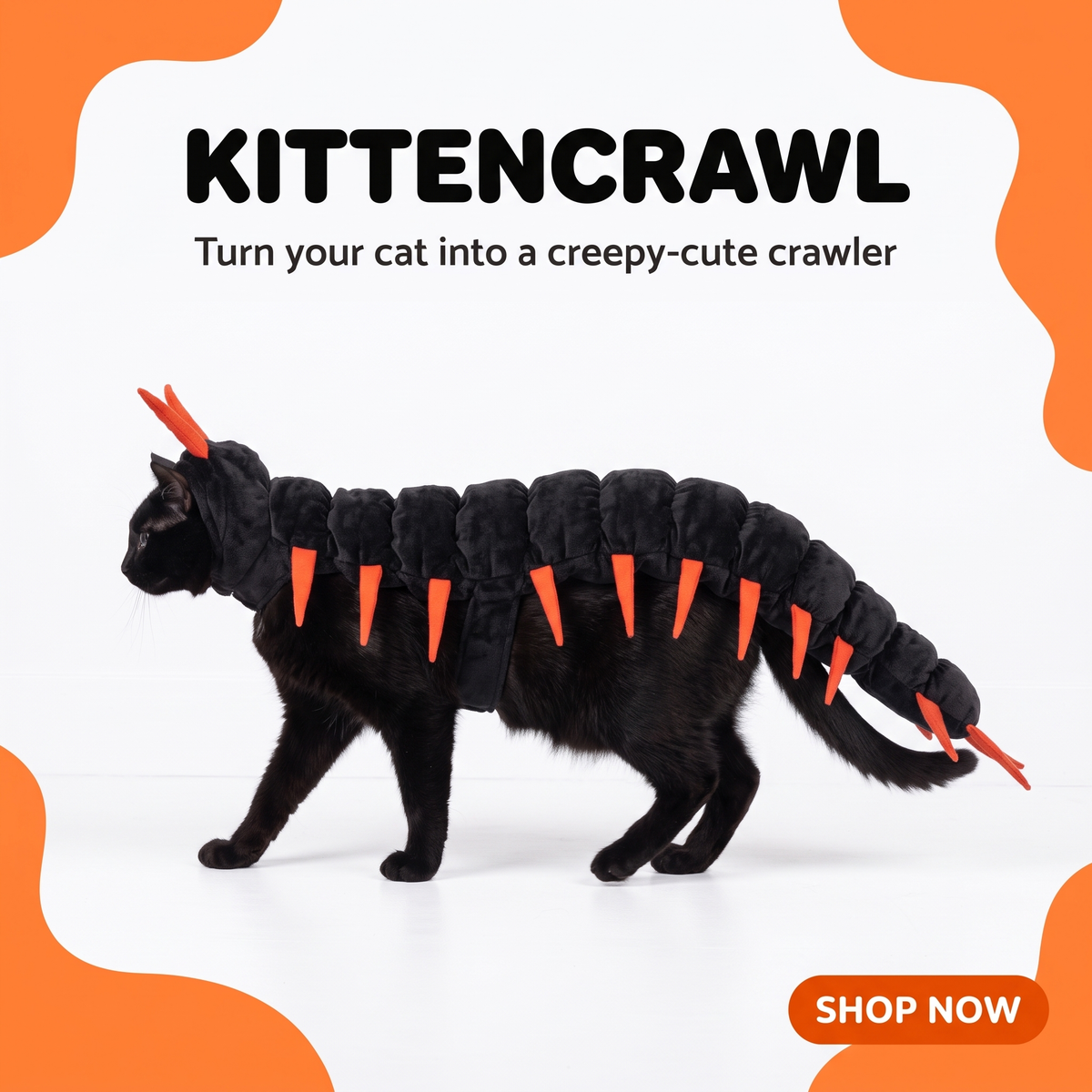 KittenCrawl® Pet Costume