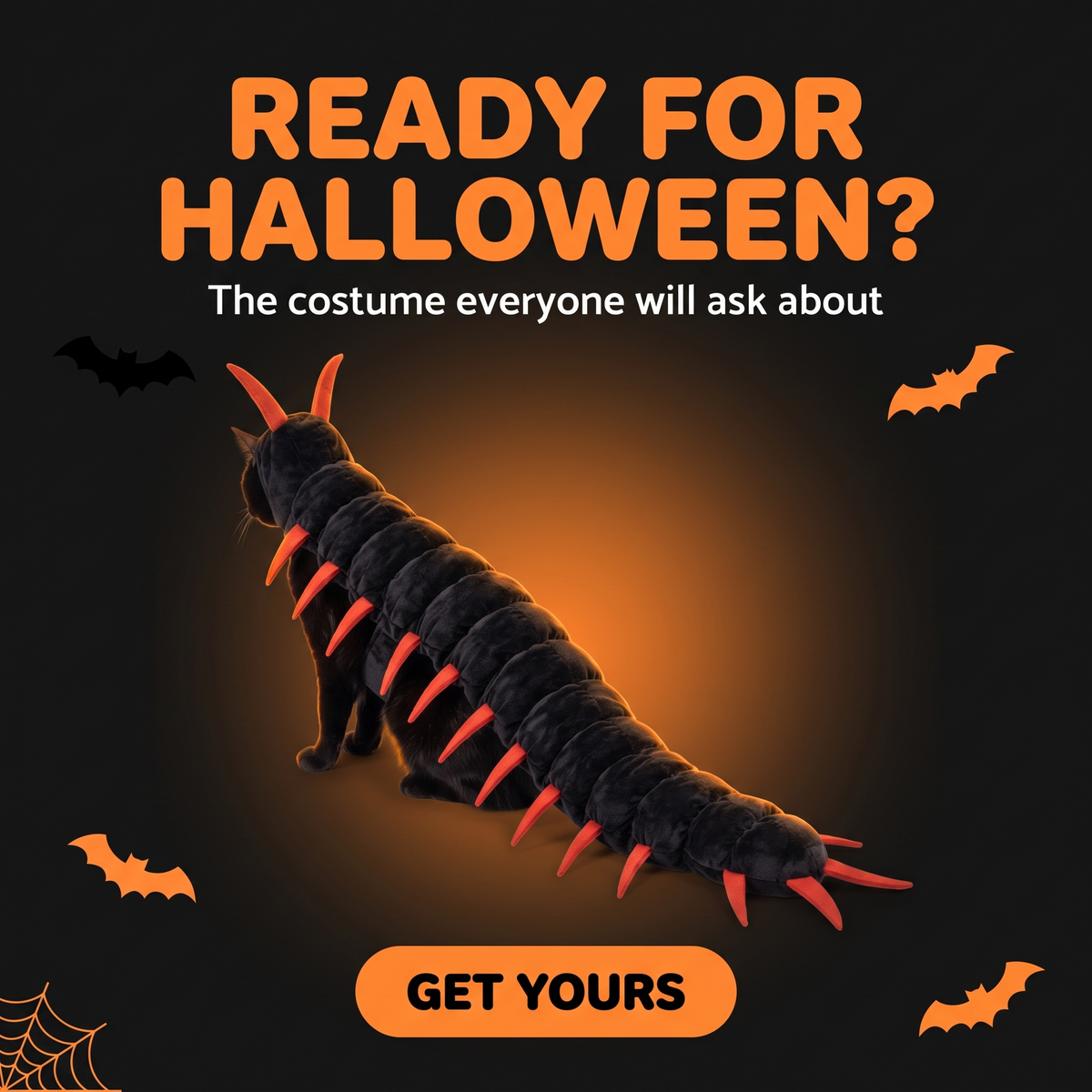 KittenCrawl® Pet Costume